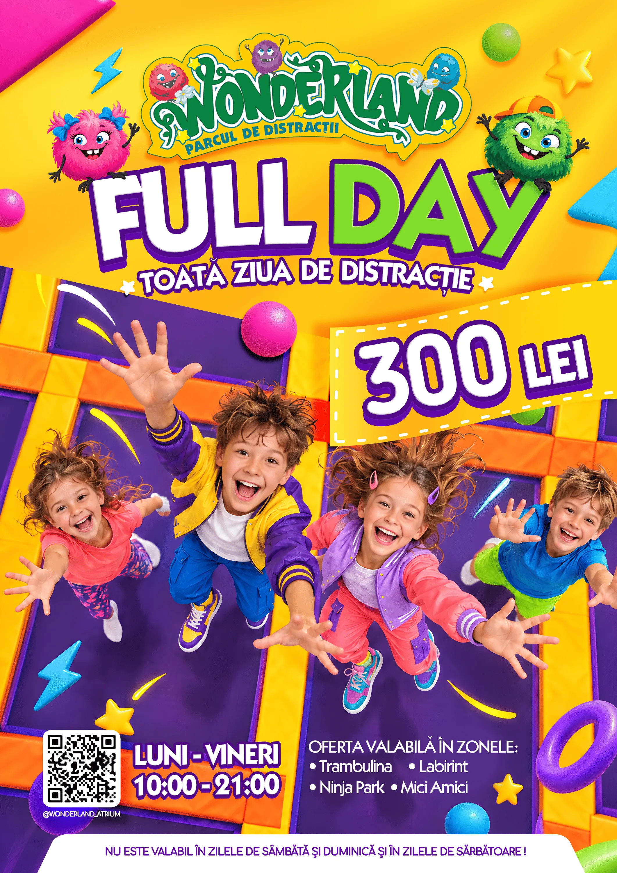 Full Day în zilele lucrătoare — 300 lei